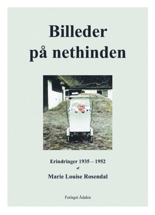 Billeder på nethinden
